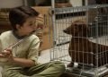 Sundance London 2016 – Wiener-Dog (2016)