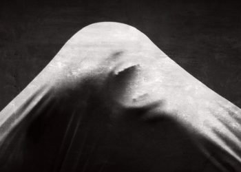Stream And Stream Again: The Best Of Shudder