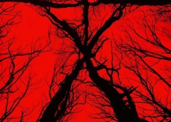 Blair Witch (2016)