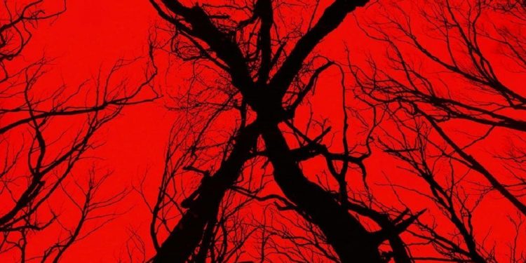 Blair Witch (2016)