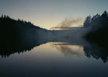NEWSFLASH! If you go down to the lake today …….