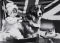 Me and My Two Friends (1898)